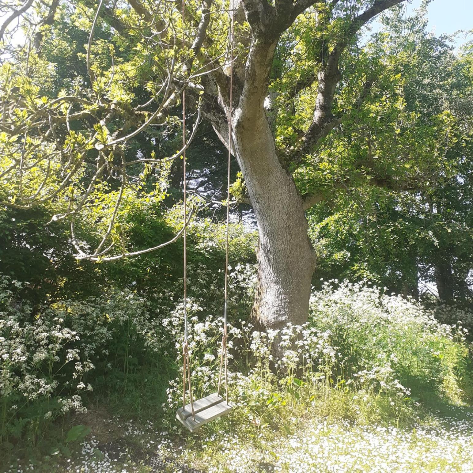 Doughery Den The Dark Hedges Hideaway Armoy Extérieur photo