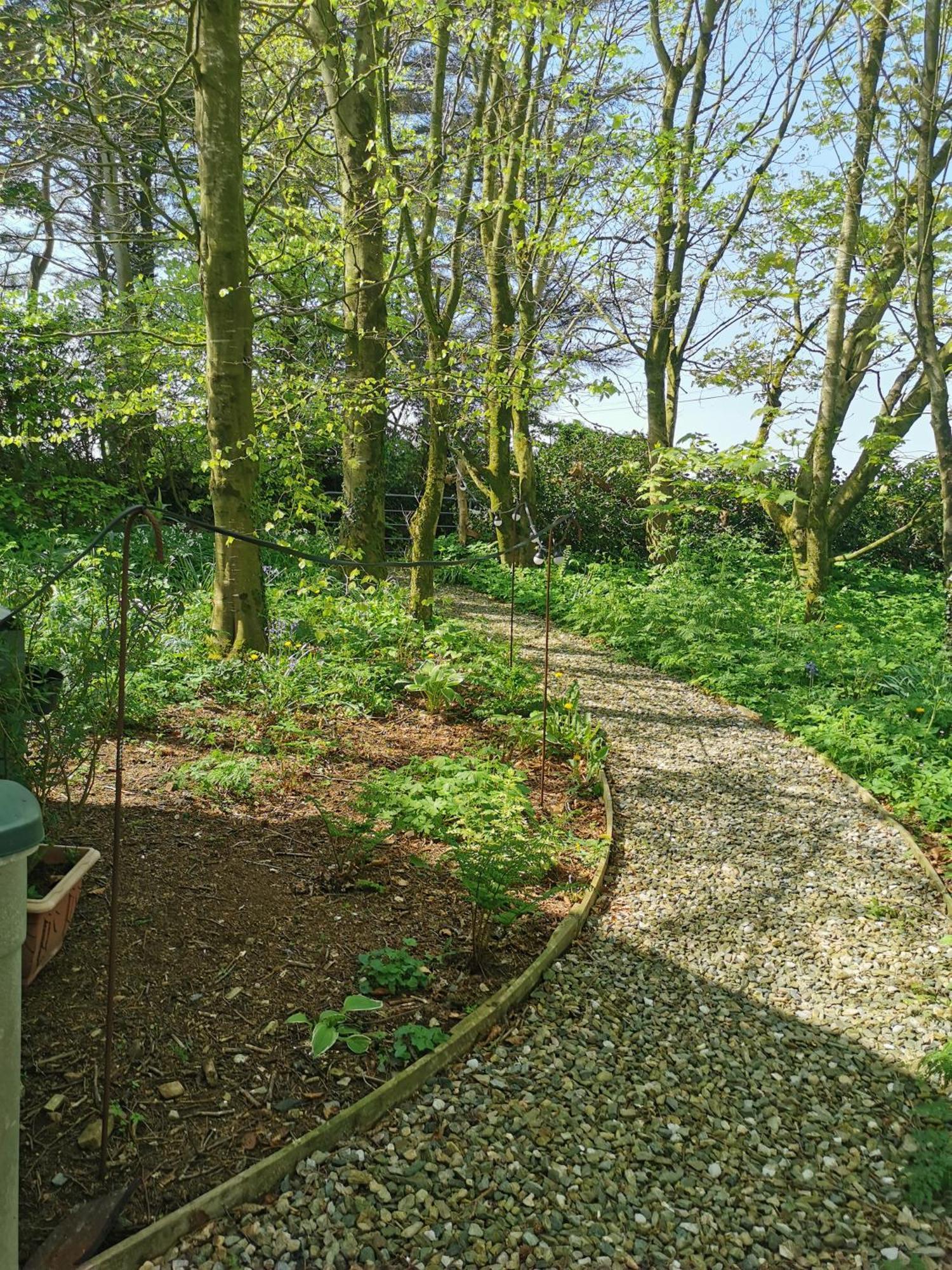 Doughery Den The Dark Hedges Hideaway Armoy Extérieur photo